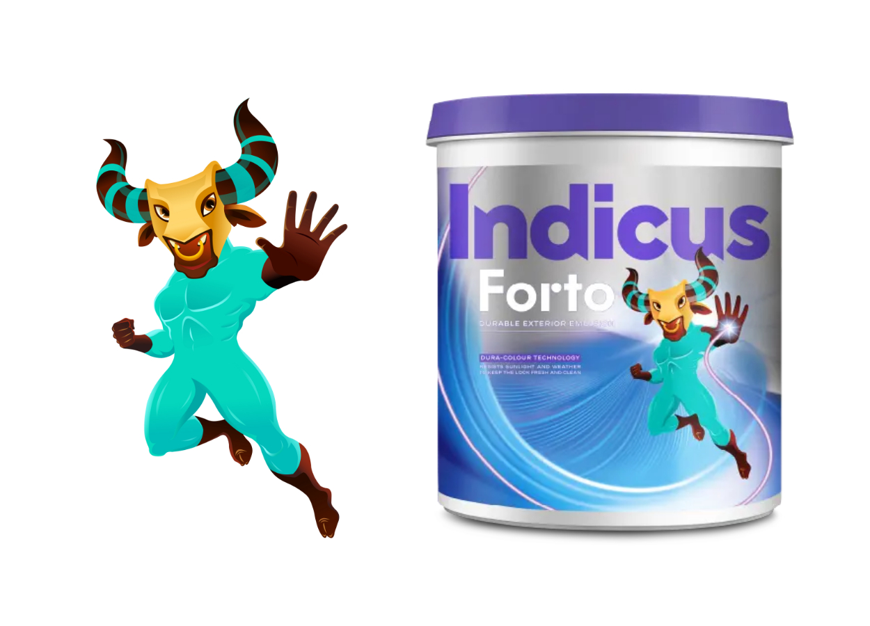 Indicus