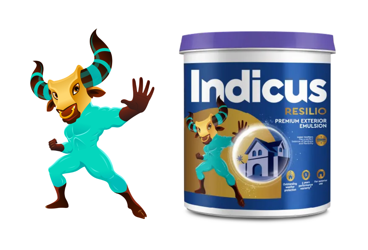 Indicus